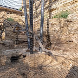 Black Tailed Prairie Dog and Western Burrowing Owl Habitat