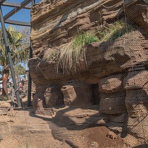 Black Tailed Prairie Dog and Western Burrowing Owl Habitat