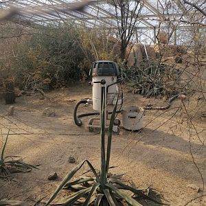 Burgers' Desert R2D2