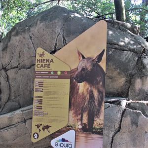 New sign for brown hyena
