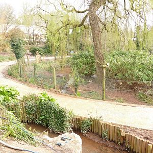 Construction of new path, March 2022