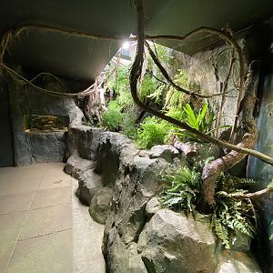 Invertebrate House 280222