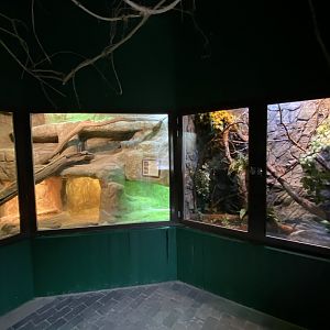 Reptile House 280222