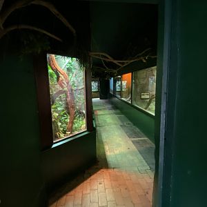 Reptile House 280222