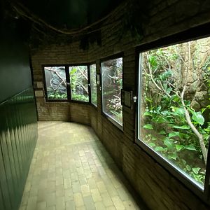 Reptile House 280222