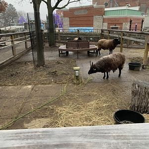 Dec. 2021- Another sheep yard