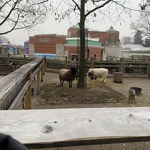 Dec. 2021- One sheep yard