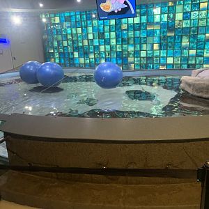Dec. 2021- Aquarium touch pool
