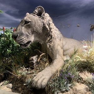Dec. 2021- American lion statue