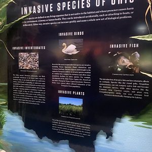 Dec. 2021- Invasive species informational sign
