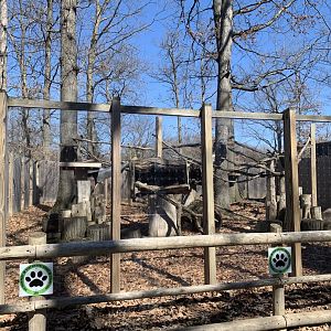 Dec. 2021- Outdoor binturong exhibit