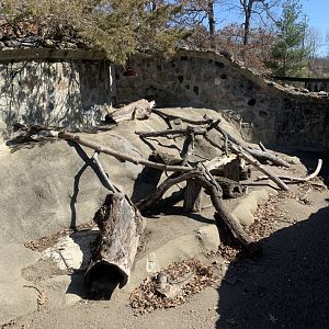 Mar. 2022- Meerkat exhibit