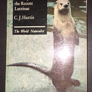 Otters: A Study of the Recent Lutrinae