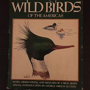 Wild Birds of the Americas