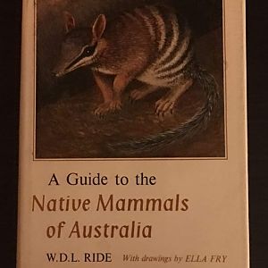 A Guide to the Native Mammals of Australia