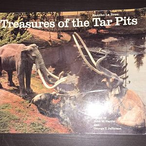Rancho La Brea: Treasures of the Tar Pits
