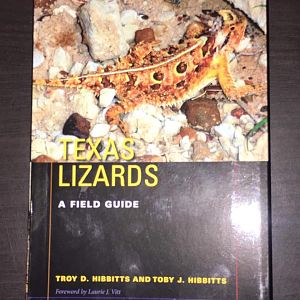 Texas Lizards: A Field Guide
