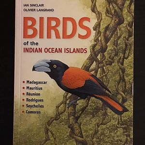 Birds of the Indian Ocean Islands