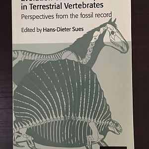 Evolution of Herbivory in Terrestrial Vertebrates: Perspectives from the fossil record
