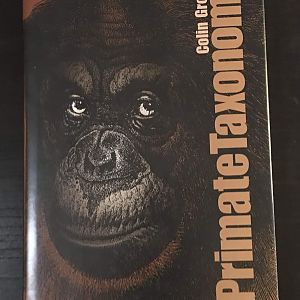 Primate Taxonomy