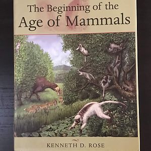 The Begining of the Age of Mammals