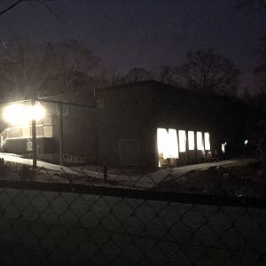 Under Construction Baboon Holding at Night