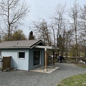 Ring-tailed Lemur Exhibit