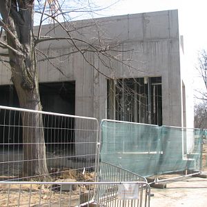 Ice Age House is under construction