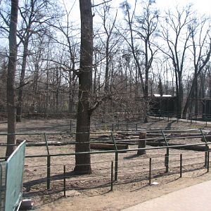 Indian rhino exhibit