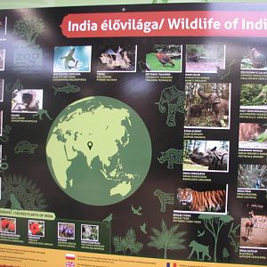 Educational sign about India's wildlife