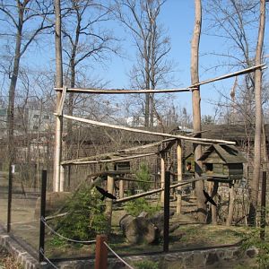 New Red panda exhibit