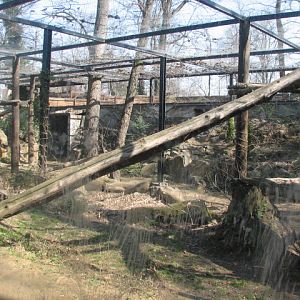 Snow leopard enclosure