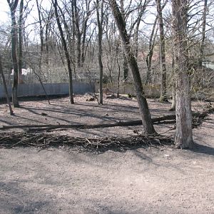 Greater kudu exhibit