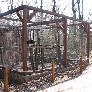 B+W Ruffed lemur exhibit