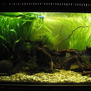 A smaller tank