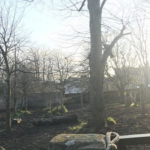 Former malayan tapir enclosure