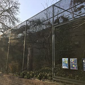 Mixed bird enclosure