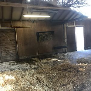Banteng indoor enclosure