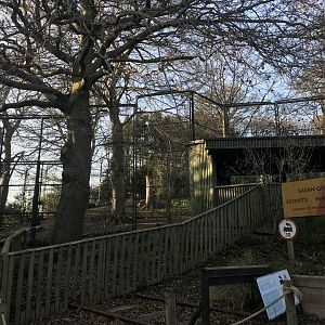 Bottom area of asiatic lion enclosure