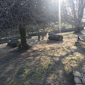 Pygmy hippo enclosure