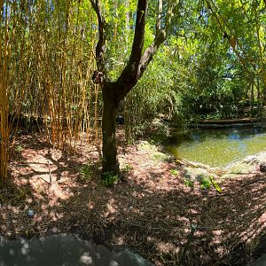 Alphonse Karr Bamboo Grove