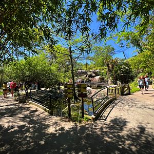 River Valley Aviary Corner View
