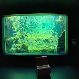 Aquarium