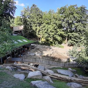 Exhibit of domestic animals