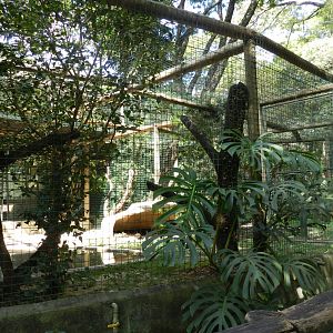 Reticulated python exhibit - Belo Horizonte zoo