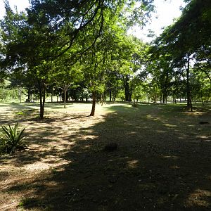 Area of the former reptile house - Belo Horizonte zoo