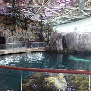 Abbott Oceanarium