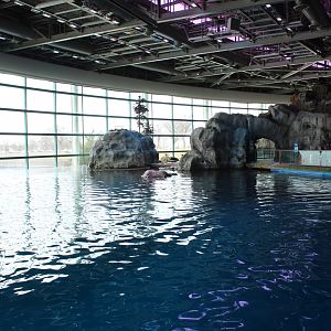 Abbott Oceanarium