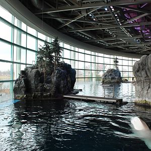 Abbott Oceanarium