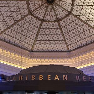 Historic Ceiling above Caribbean Reef
